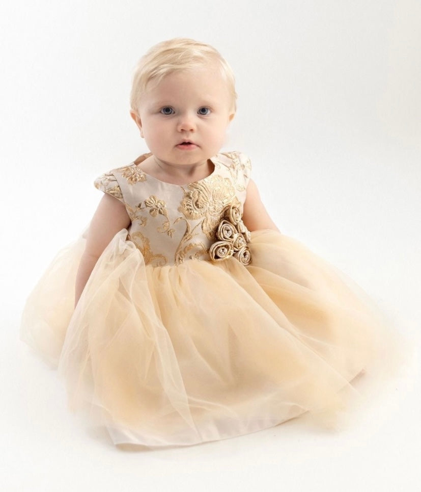 Baby Girls Champagne/Gold Brocade and Tulle Dress