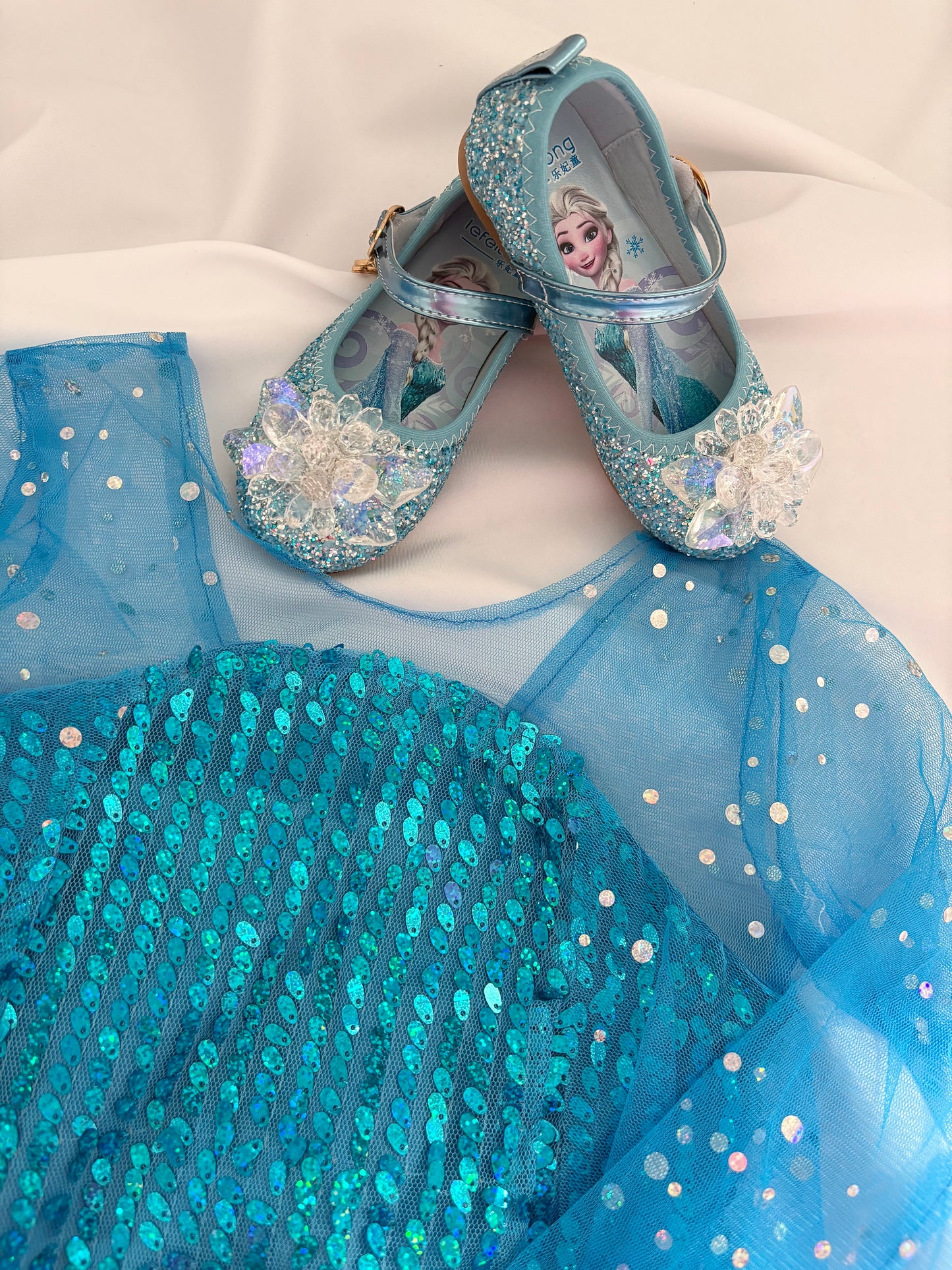 Elsa Snow Queen Frozen Costume - Accessories Available