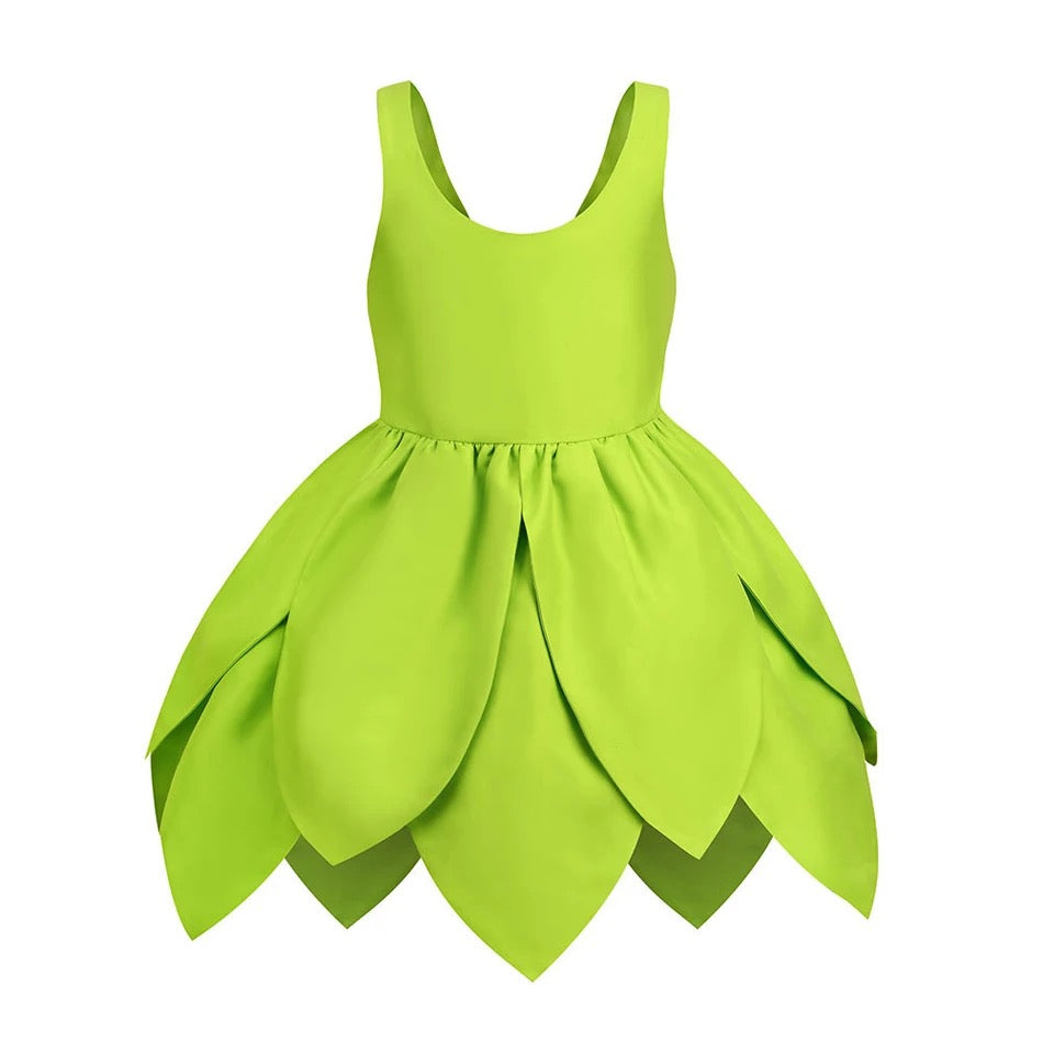 Baby Girls Tinkerbell Dress and Wings