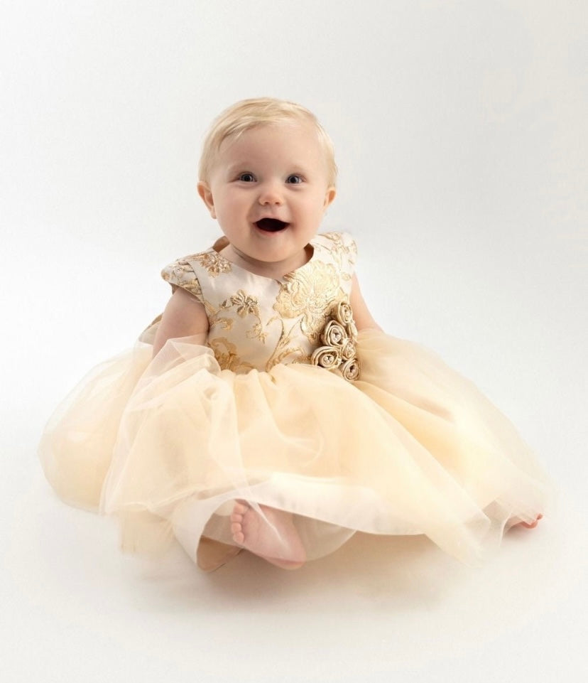 Baby Girls Champagne Gold Brocade and Tulle Dress