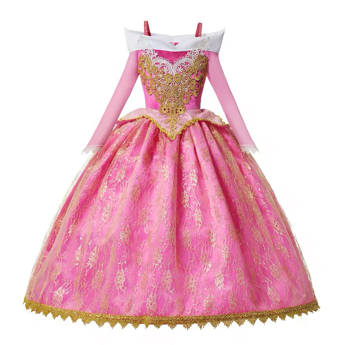 Princess Aurora Costume & Accessories - World Book Day