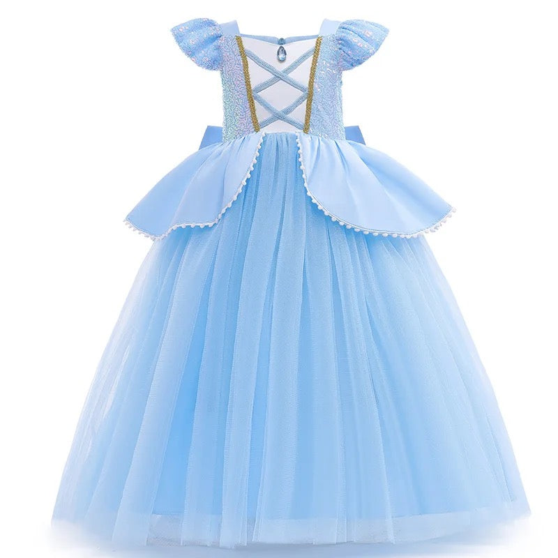 Cinderella Costume incl Underskirt