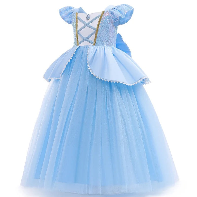 Cinderella Costume incl Underskirt