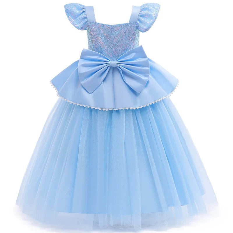 Cinderella Costume incl Underskirt