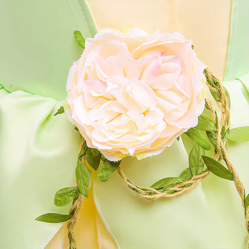 Tiana-Inspired Princess Dress Costume for Girls – Fairytale Birthday Outfit