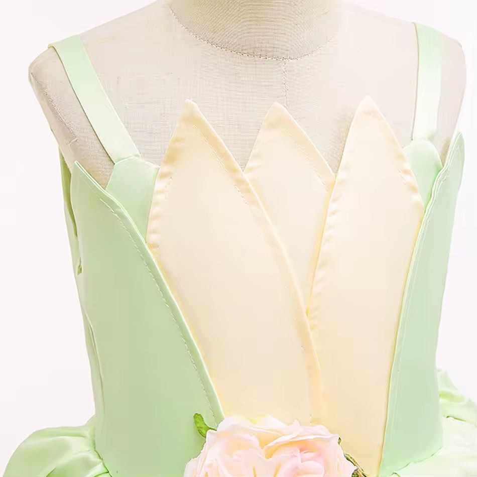 Tiana-Inspired Princess Dress Costume for Girls – Fairytale Birthday Outfit