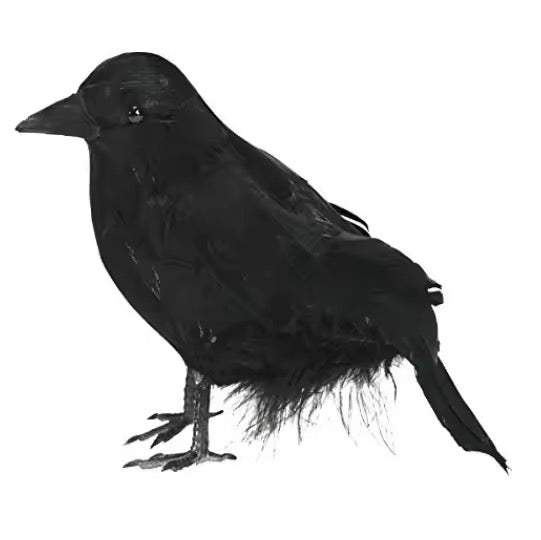 Halloween Queen Witches Dress, Accessories Available