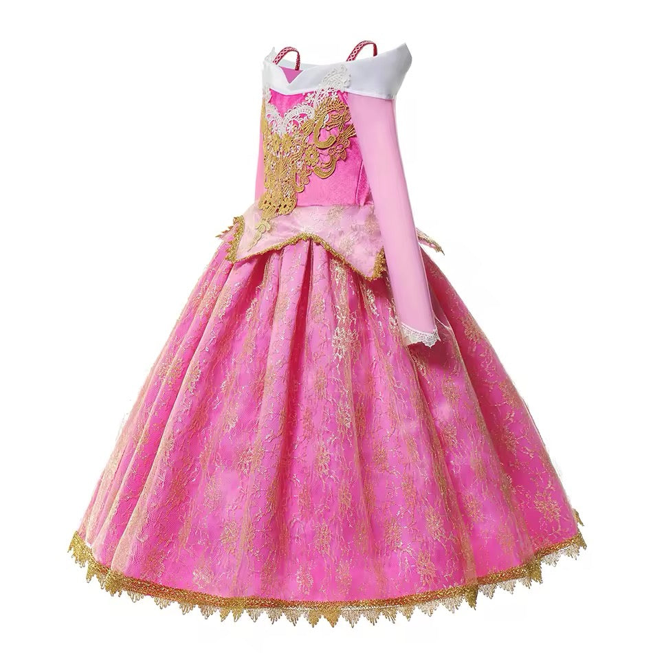 Princess Aurora Costume & Accessories - World Book Day