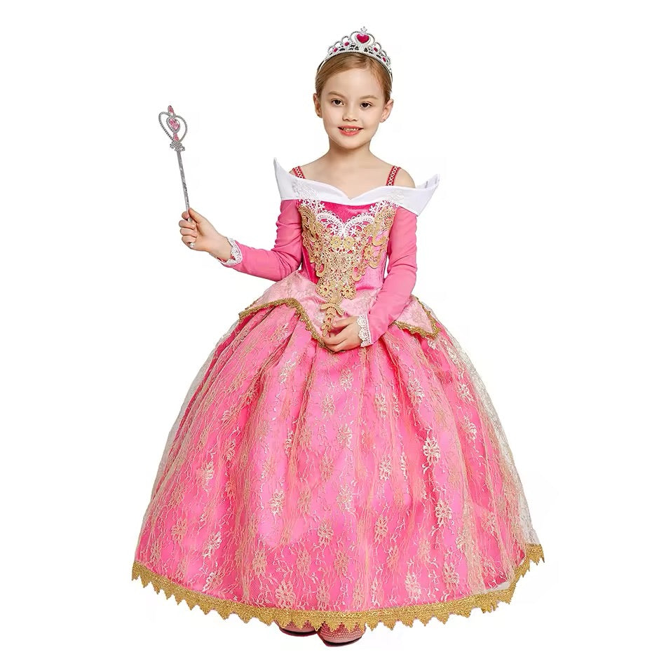 Princess Aurora Costume & Accessories - World Book Day