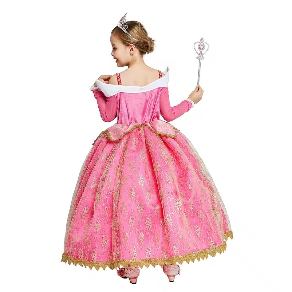 Princess Aurora Costume & Accessories - World Book Day