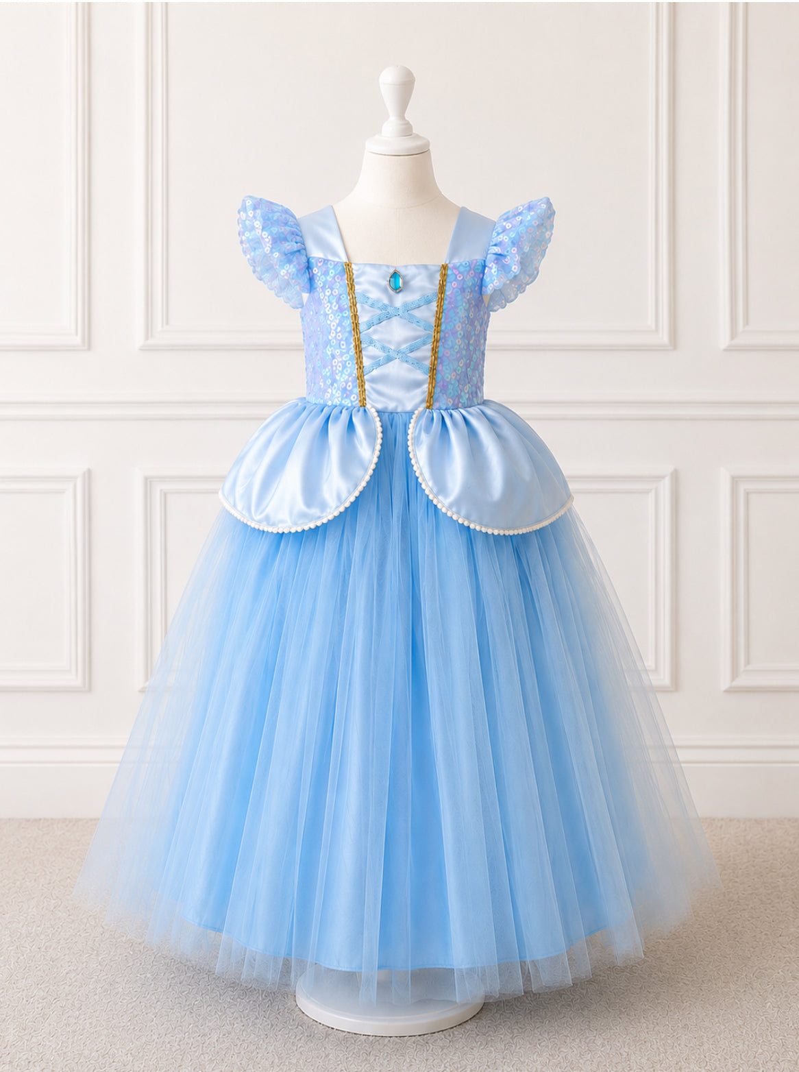 Cinderella Costume incl Free Underskirt