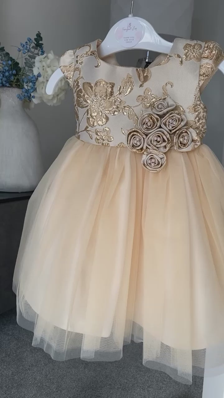 Baby Girls Champagne Gold Brocade and Tulle Dress